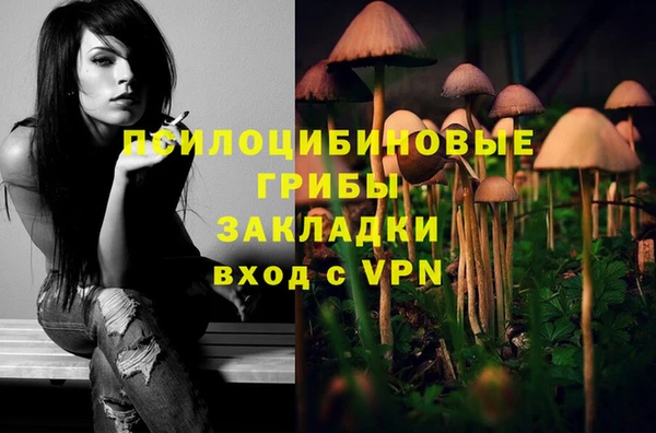 бошки Майский