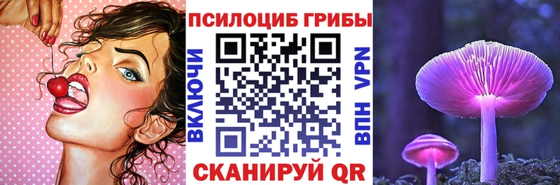 купить наркотики цена  Шумерля  Псилоцибиновые грибы Magic Shrooms 