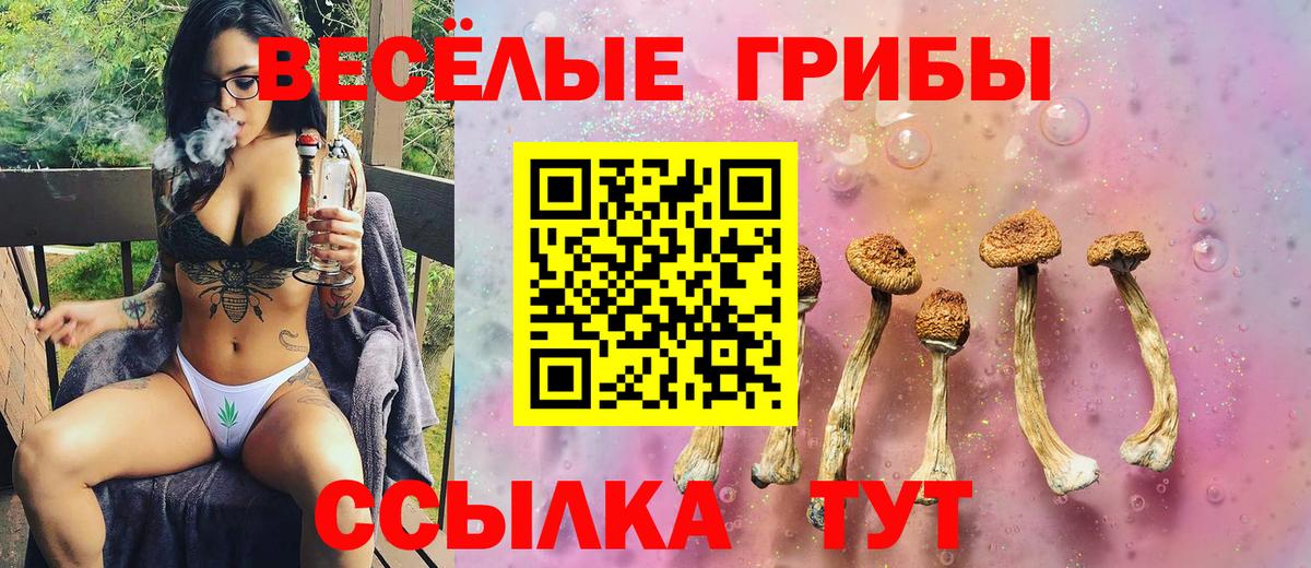 Галлюциногенные грибы мицелий  Вход с VPN  Шумерля 