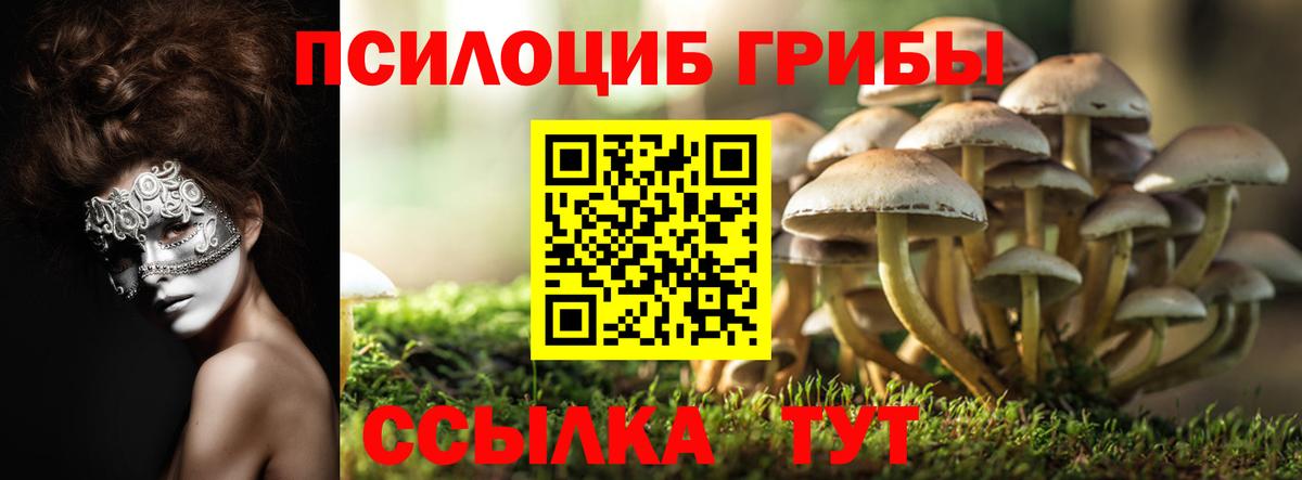 Галлюциногенные грибы прущие грибы Шумерля